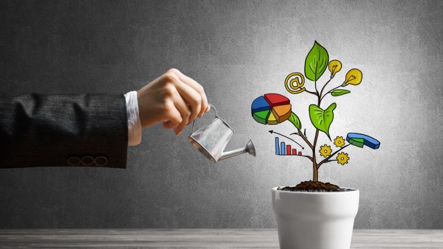 ما علاقة القدرة المالية بالاستدامة؟